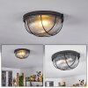 QUINTAY Ceiling Light black, 1-light source