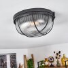 QUINTAY Ceiling Light black, 1-light source