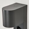 KINGSTOWN Outdoor Wall Light anthracite, transparent, clear, 1-light source, Motion sensor