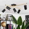 ZUOZ Ceiling Light gold, black, 5-light sources