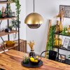 ENTREVINHAS Pendant Light gold, brass, 1-light source