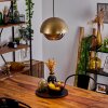 ENTREVINHAS Pendant Light gold, brass, 1-light source