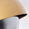ENTREVINHAS Pendant Light gold, brass, 1-light source