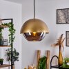 ENTREVINHAS Pendant Light gold, brass, 1-light source