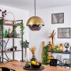 ENTREVINHAS Pendant Light gold, brass, 1-light source