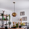ENTREVINHAS Pendant Light gold, brass, 1-light source