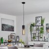 DULCITA Pendant Light black, 1-light source