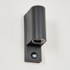 KINGSTOWN Outdoor Wall Light anthracite, transparent, clear, 2-light sources, Motion sensor