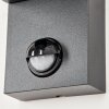 KINGSTOWN Outdoor Wall Light anthracite, transparent, clear, 1-light source, Motion sensor
