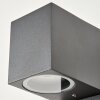 KINGSTOWN Outdoor Wall Light anthracite, transparent, clear, 1-light source, Motion sensor