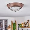 COLTAUCO Ceiling Light rust-coloured, 1-light source