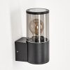 CARAGUA Outdoor Wall Light anthracite, 1-light source