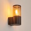 CARAGUA Outdoor Wall Light anthracite, 1-light source