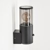 CARAGUA Outdoor Wall Light anthracite, 1-light source, Motion sensor