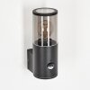 CARAGUA Outdoor Wall Light anthracite, 1-light source, Motion sensor