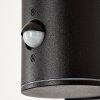 CARAGUA Outdoor Wall Light anthracite, 1-light source, Motion sensor