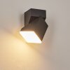TOOGONG Outdoor Wall Light LED anthracite, 1-light source