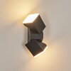 TOOGONG Outdoor Wall Light LED anthracite, 2-light sources