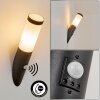 RUTI Outdoor Wall Light black, 1-light source, Motion sensor