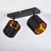 Ceiling Light Alsen black-gold, 2-light sources