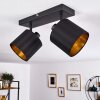 Ceiling Light Alsen black-gold, 2-light sources
