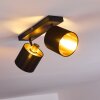 Ceiling Light Alsen black-gold, 2-light sources
