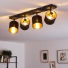 Ceiling Light Alsen black, 4-light sources
