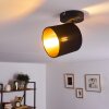 Ceiling Light Alsen black, 1-light source
