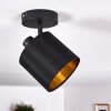 Ceiling Light Alsen black, 1-light source