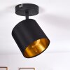 Ceiling Light Alsen black, 1-light source