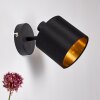 Wall Light Alsen black, 1-light source