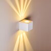 JONAVA Outdoor Wall Light LED white, 2-light sources