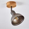 Ceiling Light Tholen brown, 1-light source