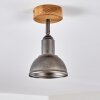 Ceiling Light Tholen brown, 1-light source