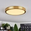 Finsrud Ceiling Light LED gold, 1-light source
