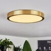 Finsrud Ceiling Light LED gold, 1-light source