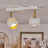 Tome Ceiling Light LED brass, white, 2-light sources