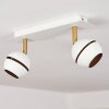 Tome Ceiling Light LED brass, white, 2-light sources
