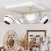 Tome Ceiling Light LED brass, white, 4-light sources