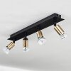 Castillo Ceiling Light black, 4-light sources