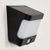 Colchagua solar wall lamp LED black, white, 1-light source, Motion sensor