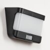 Colchagua solar wall lamp LED black, white, 1-light source, Motion sensor