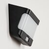 Colchagua solar wall lamp LED black, white, 1-light source, Motion sensor