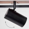 Sequeira Ceiling Light LED Light wood, Wood like finish, black, 4-light sources