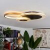 Ipinco Ceiling Light LED gold, black, transparent, clear, 1-light source, Remote control
