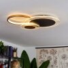 Ipinco Ceiling Light LED gold, black, transparent, clear, 1-light source, Remote control