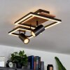 Sequeira Ceiling Light LED Light wood, Wood like finish, black, 3-light sources