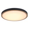 Globo SAMMI Ceiling Light LED brass, black, white, 1-light source