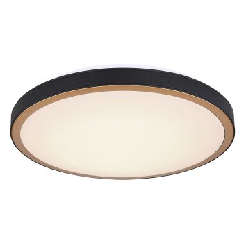 Globo SAMMI Ceiling Light LED brass, black, white, 1-light source