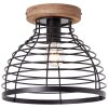 Brilliant Avia Ceiling Light black, 1-light source